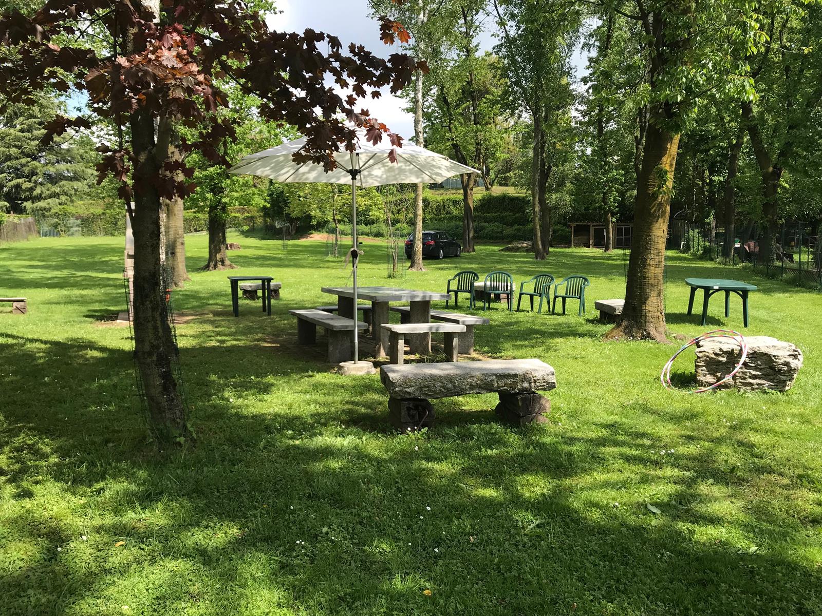 Il bosco di Harry - 2